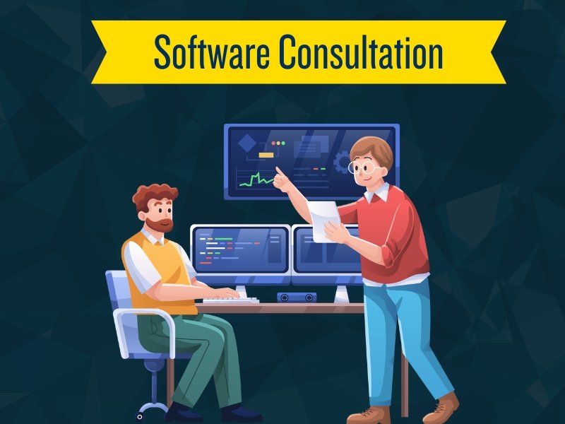 Software Consultation